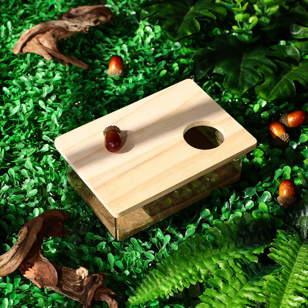 1PC Practical Hamster Bath Hamster Bath Sand Bath Hamster Sand