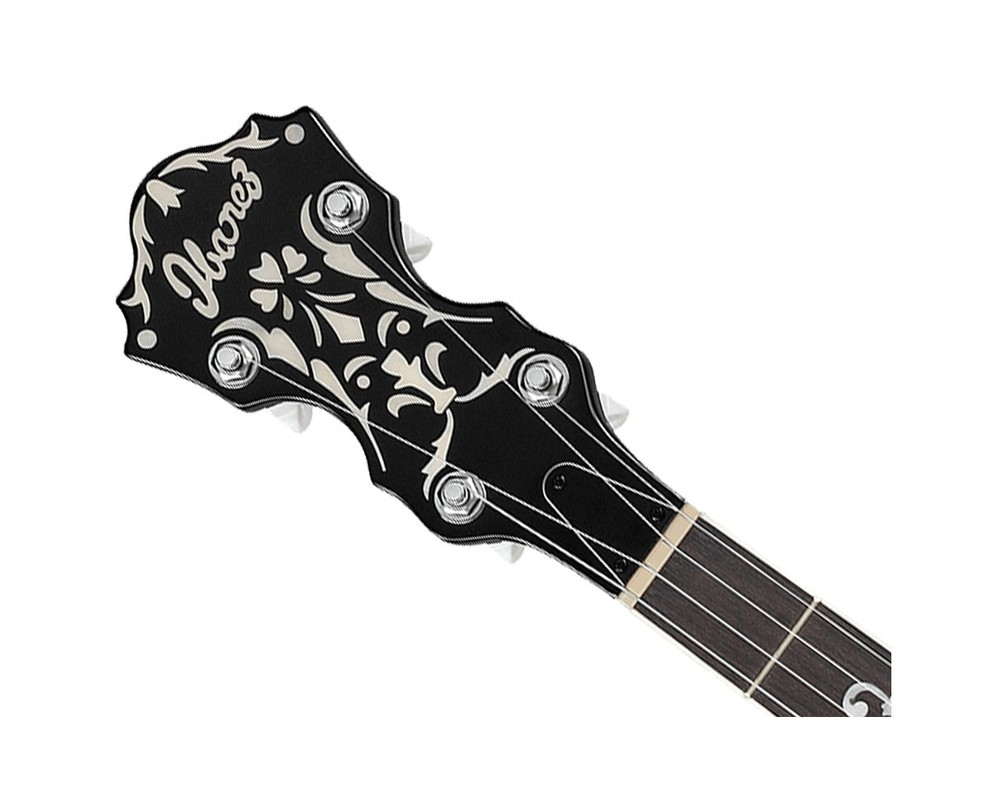 Ibanez B200 5-String Banjo