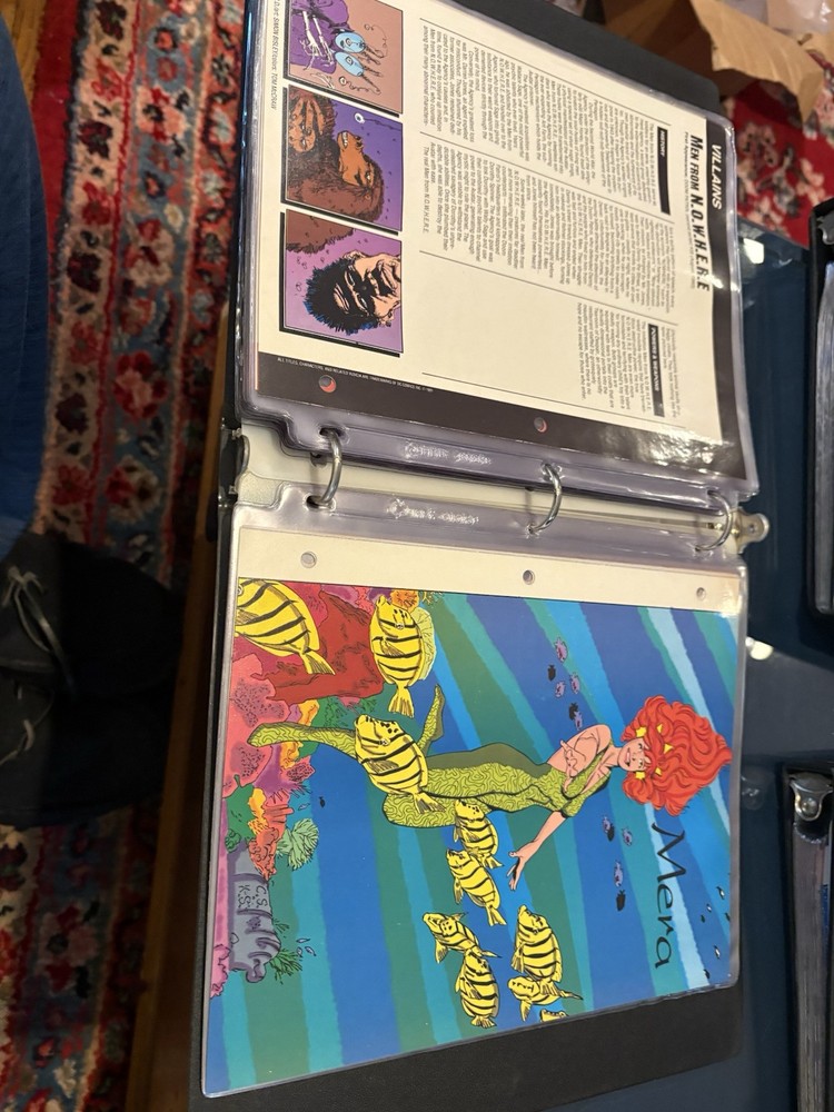 Comic Book Bio Binders