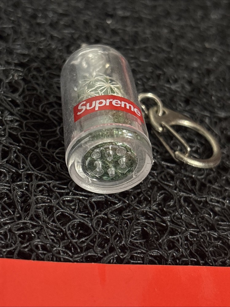 Supreme Cactus Keychain Box Logo SS18