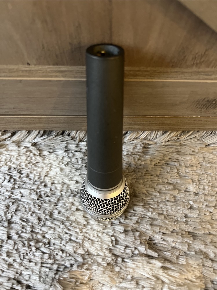 PROEL DM580 Microphone