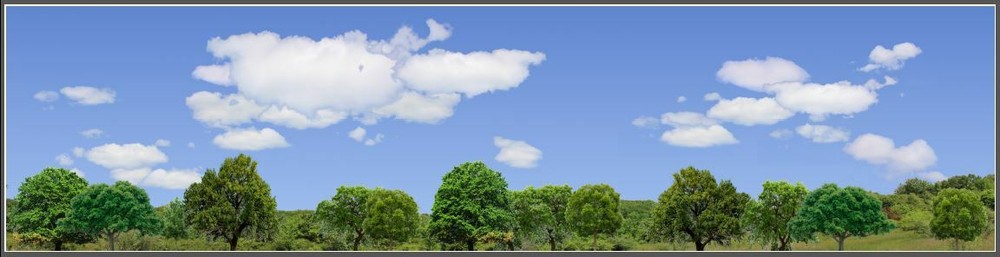 TRACKSIDE BACKDROP #670 Trees and sky O Scale