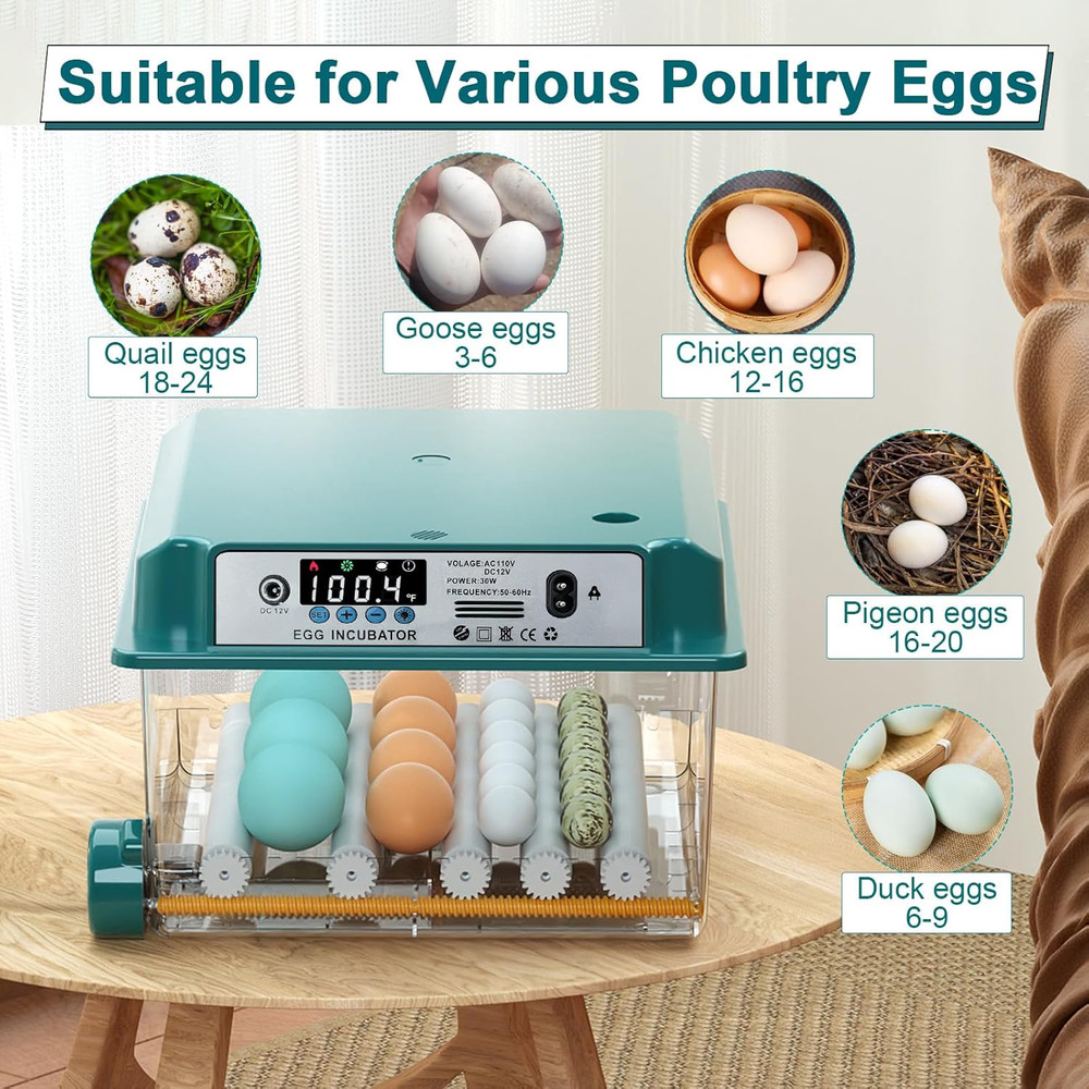 16 Eggs Incubators for Hatching Eggs, Egg Incubator with Automatic Egg Turning a