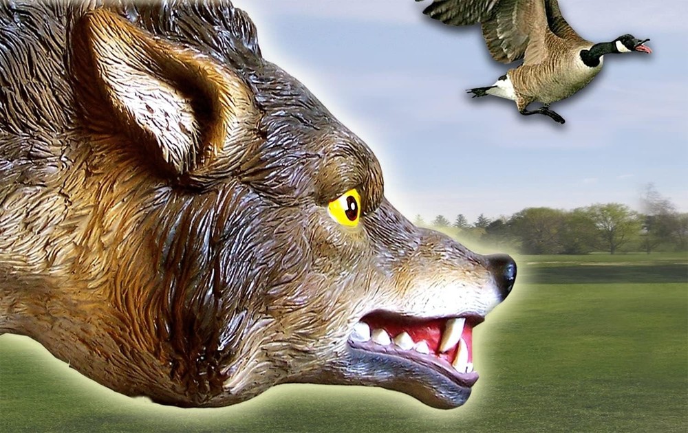 Innovative 3D Coyote Decoy: Realistic Predator Model for Safe Bird Deterrence