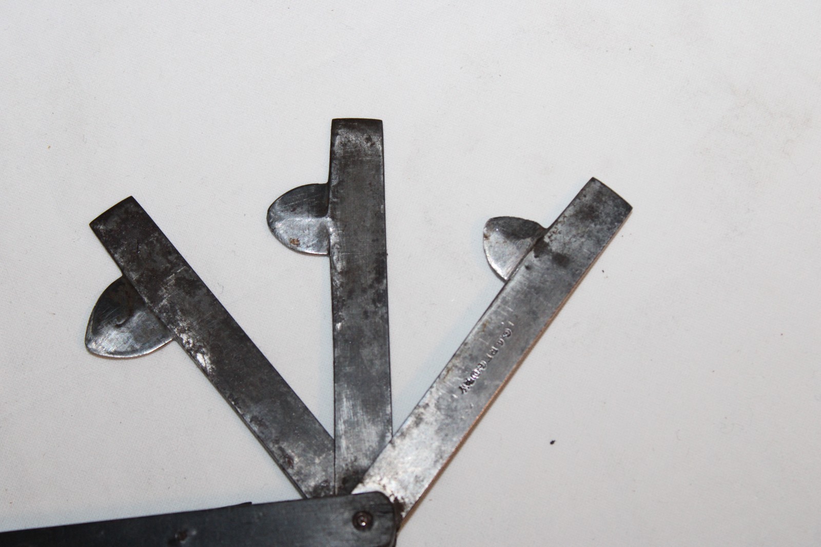 Antique 3 Blade Blood Letting Fleam Tool Marked G. Gregory