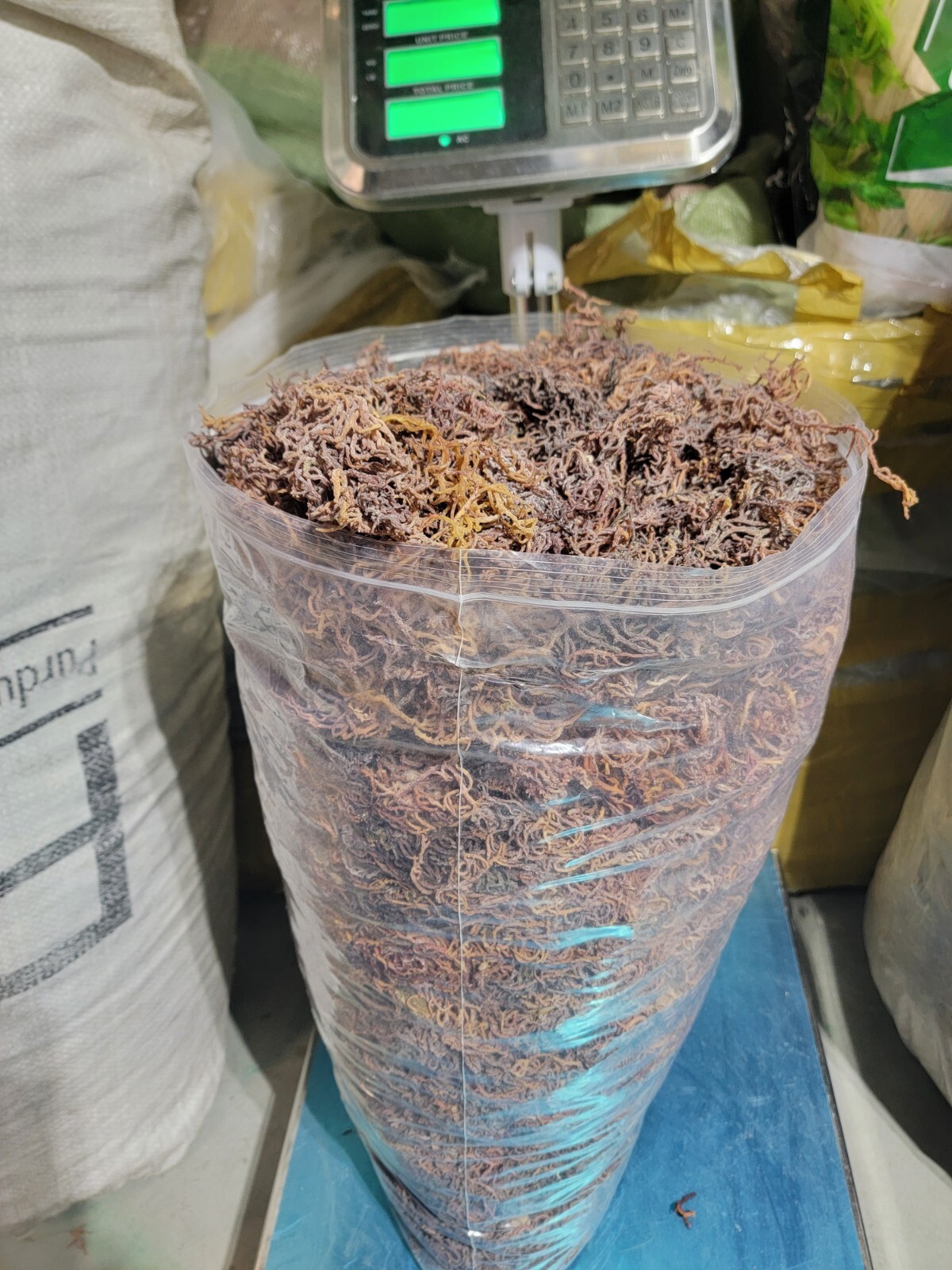 Organic Purple Irish Sea Moss I Wild Crafted Superfood I Raw Sun dried Seamoss
