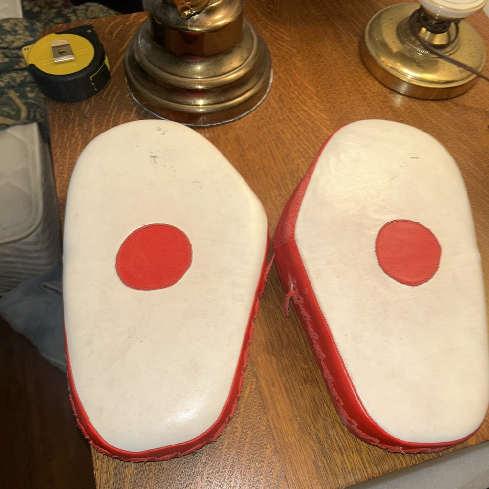 DANRHO Focus Punching Mitt