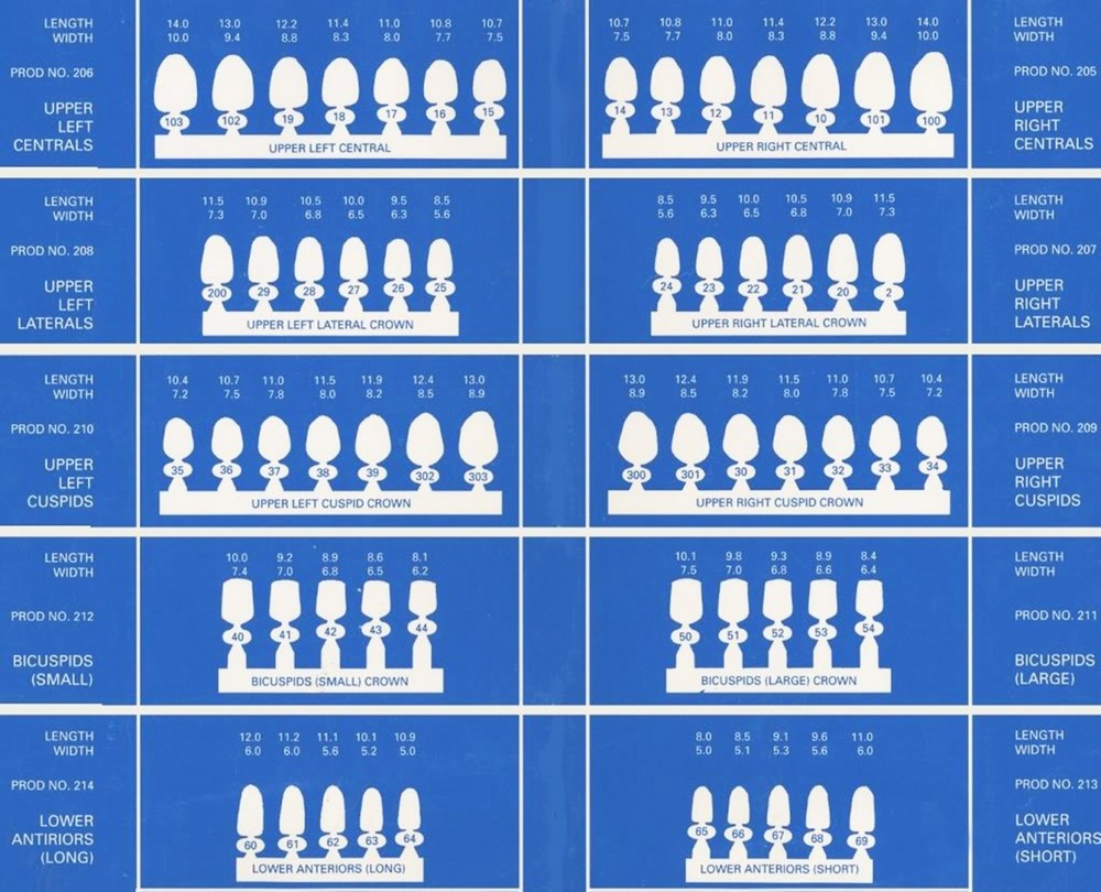 DENTAL POLYCARBONATE TEMPORARY CROWNS #102 (ULC) UPPER LEFT CENTRAL 5/PACK