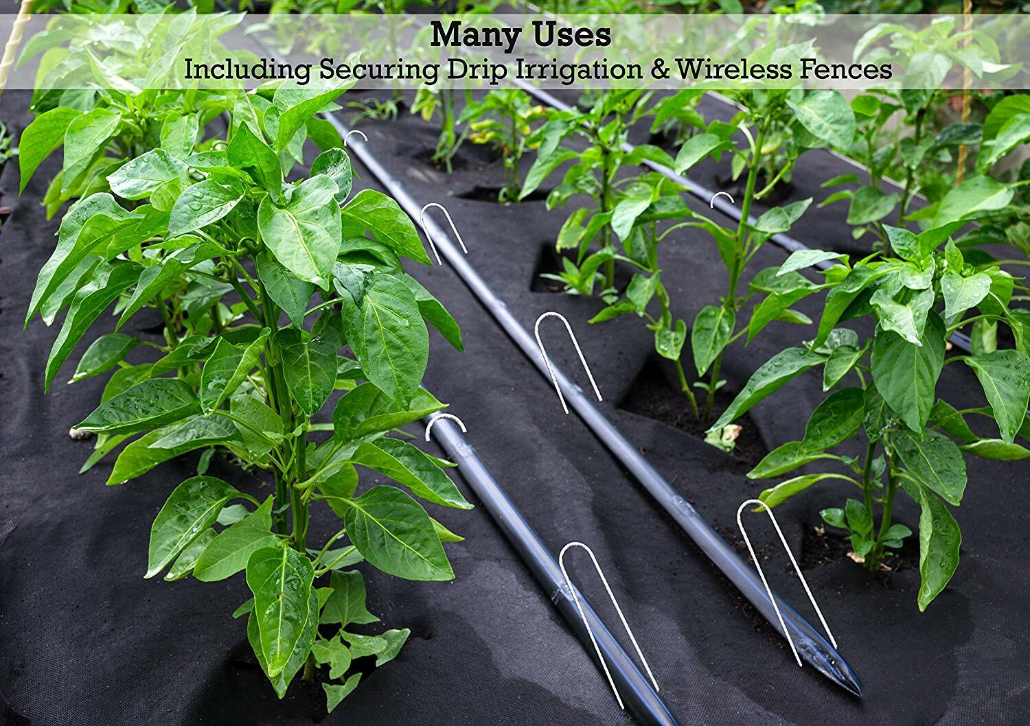 Sandbaggy 9 Gauge 6" GALVANIZED Landscape Staples~ SOD Fabric Pins -- RUST-FREE