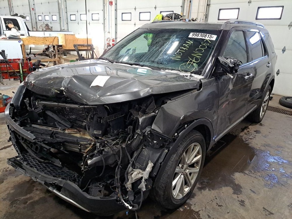 2016 Explorer Jack Sku#4361707