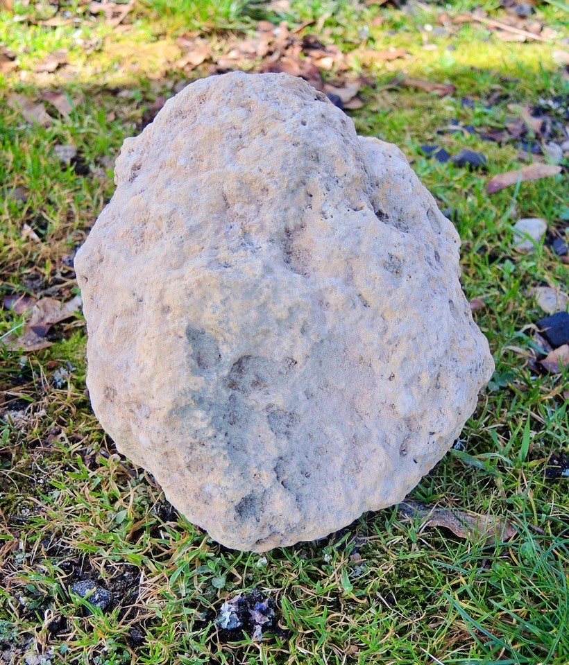 Large Pumice Stone Volcanic Rock