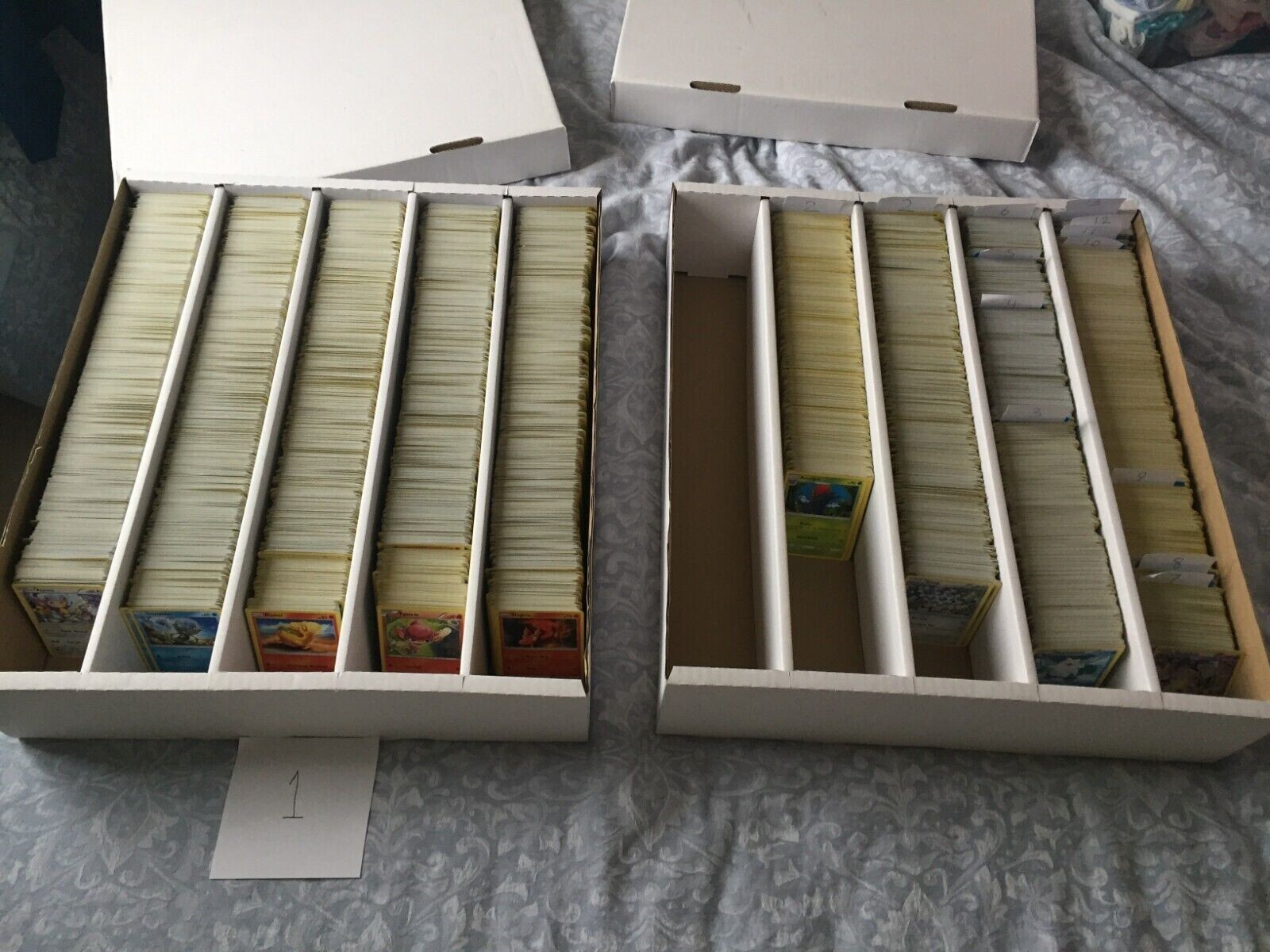 Bulk Pokemon Cards Lot 1000 Near Mint | 100 HOLO/Rev Holo NO Energy | 1V/EX Card