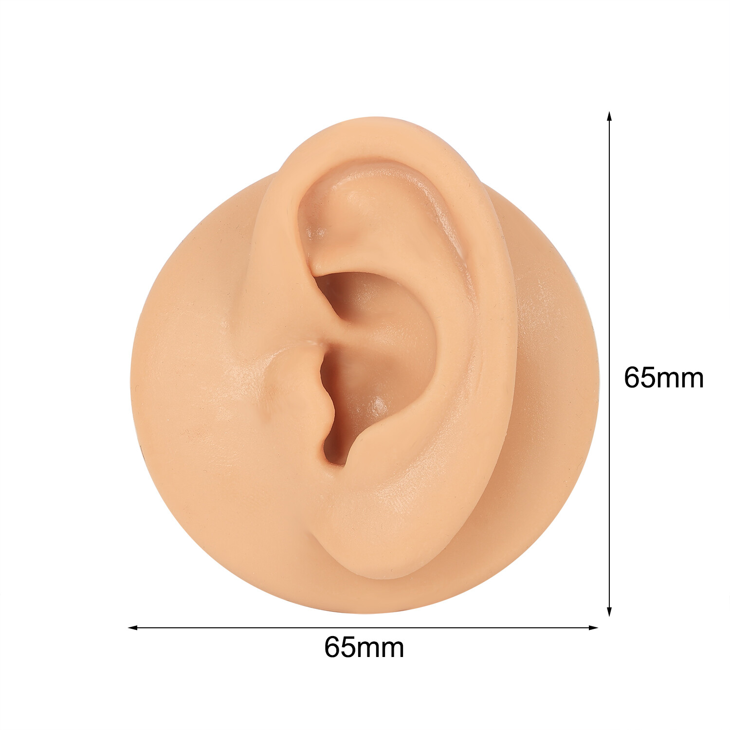 Silicone Ear Model with Acrylic Display Stand Body Parts Practice Piercing Tools