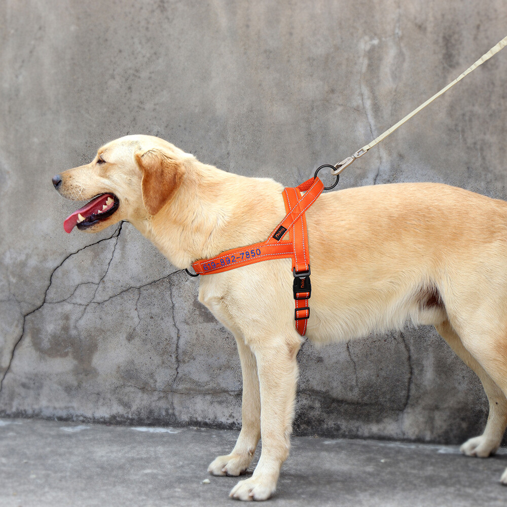 Personalized Embroidered Dog Harness Reflective Nylon No Pull Vest Custom Name