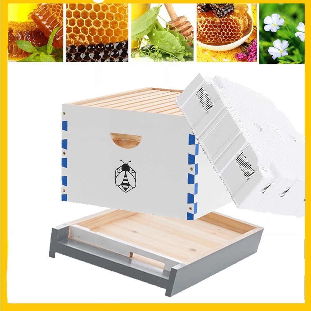 Langstroth Beehive Kit 10 Frame Box brood House +10 Deep Frames Comb Beekeeping