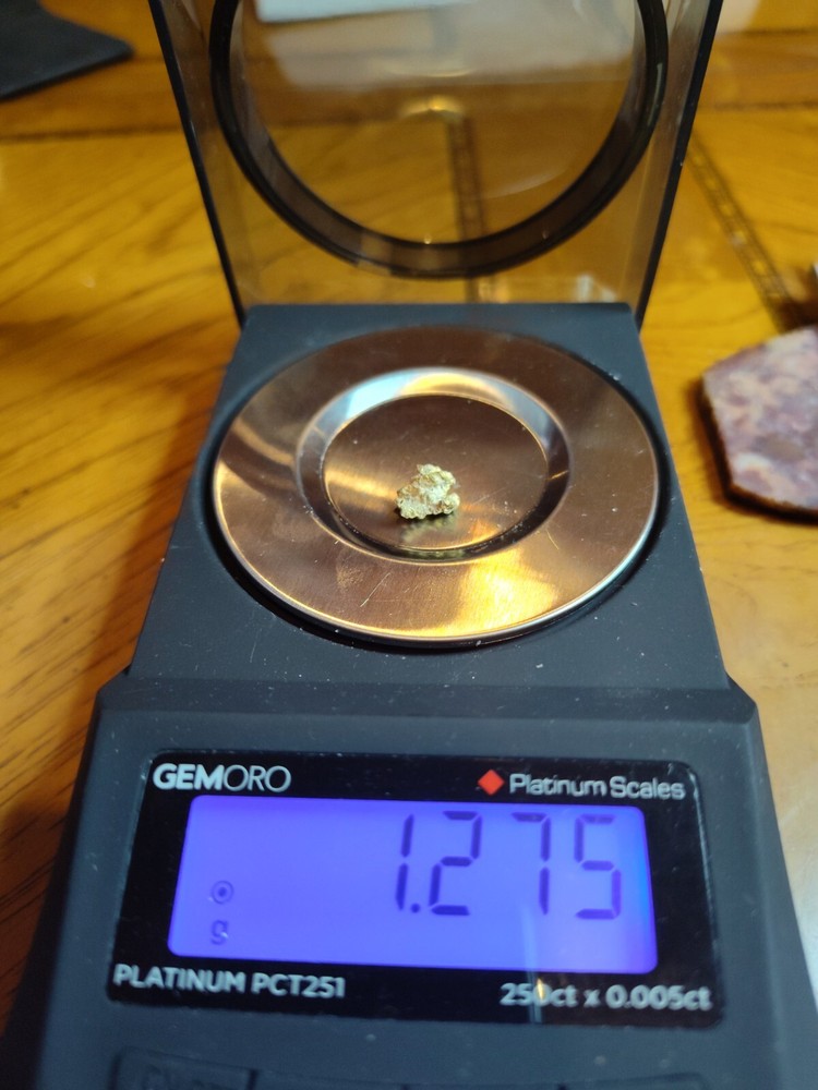 Northern California Lode Nugget