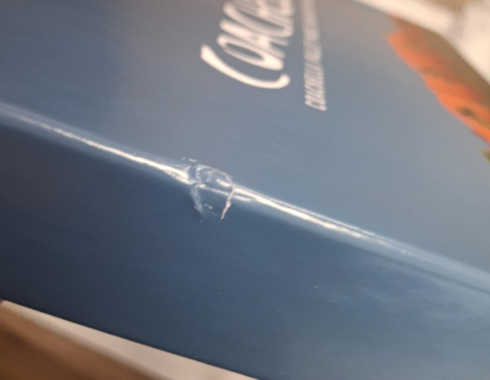 OFFICIAL 2026 COACHELLA SWAG BOX---- DISCOUNT !! INCLUDES EVERYTHING EXCEPT WB