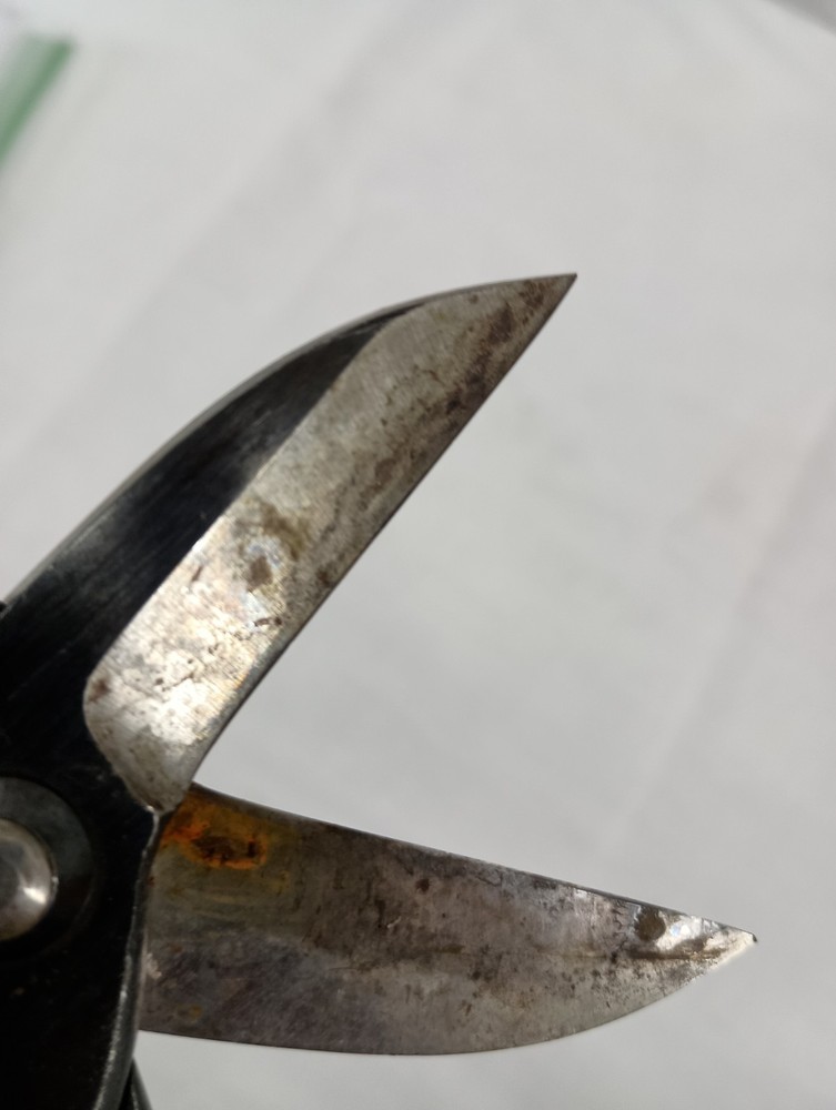 Koryu Scissors
