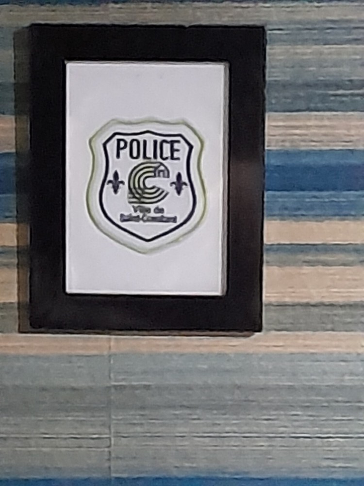 police badges / patches