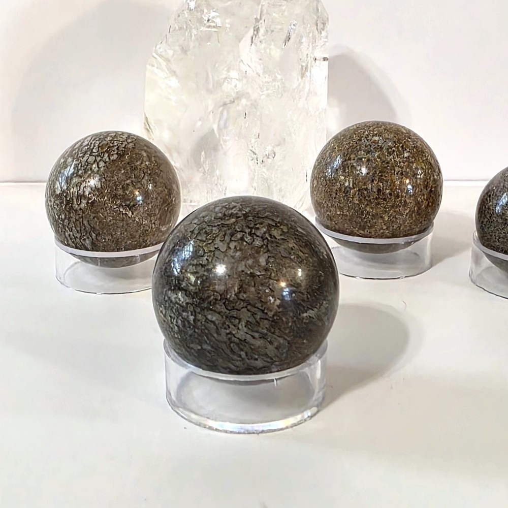 Dinosaur Bone Sphere #1- WYSIWYG