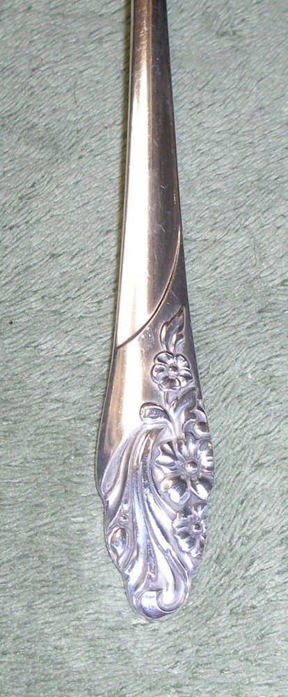 1 ~ EVENING STAR ~ Oneida Community ~ SERVING SPOON ~ c1950
