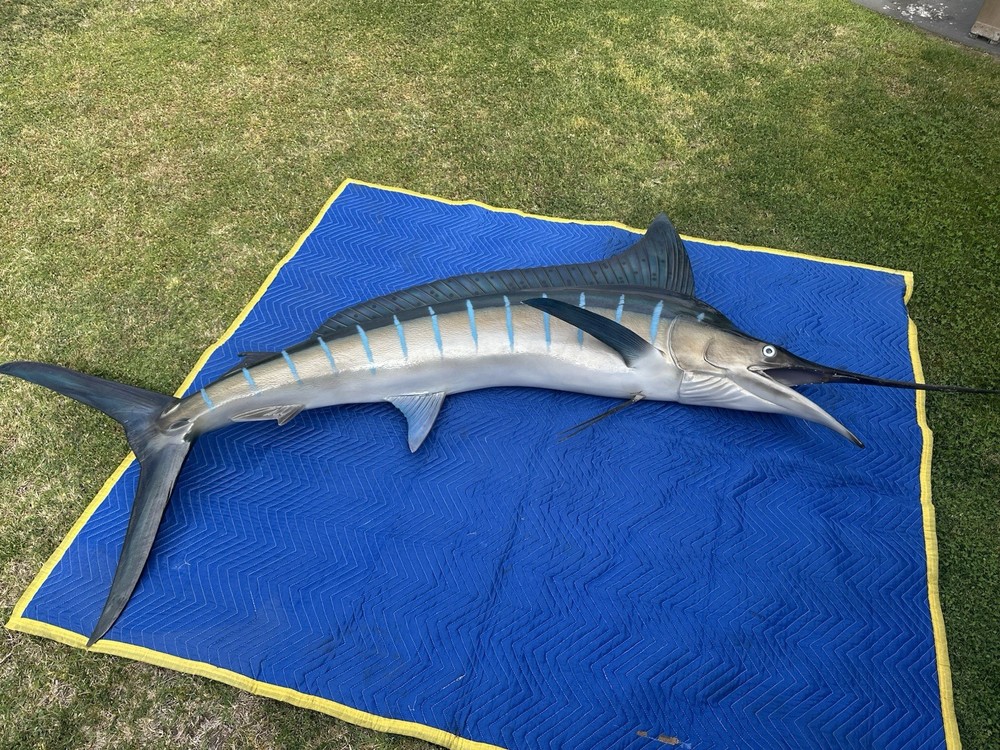 9 Foot Marlin