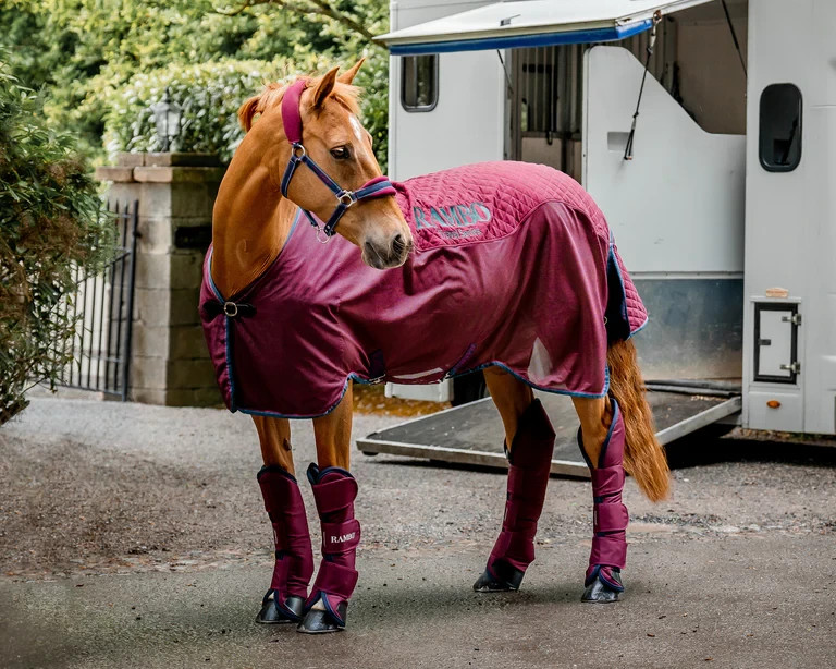 Rambo Travel Series - Maroon