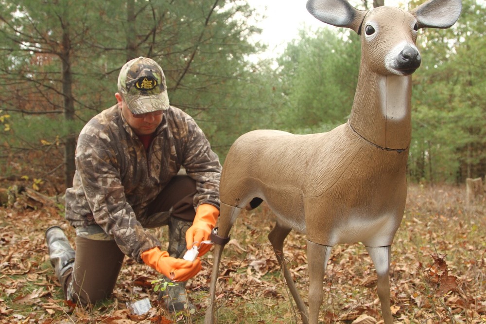 Deer Decoy Deer Scent BOSS BABE BUCK