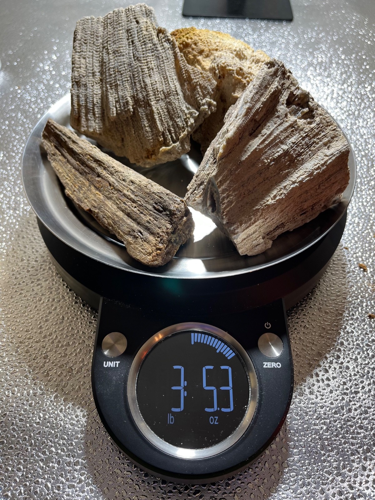 AGATIZED CORAL FLORIDA AGATE GEODES LOT 3 lb 5 oz 4 LARGE FOSSILIZED CORAL GEODE