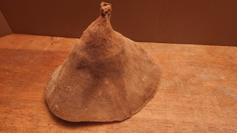 Elephant Ear Sea Sponge 9 Inch