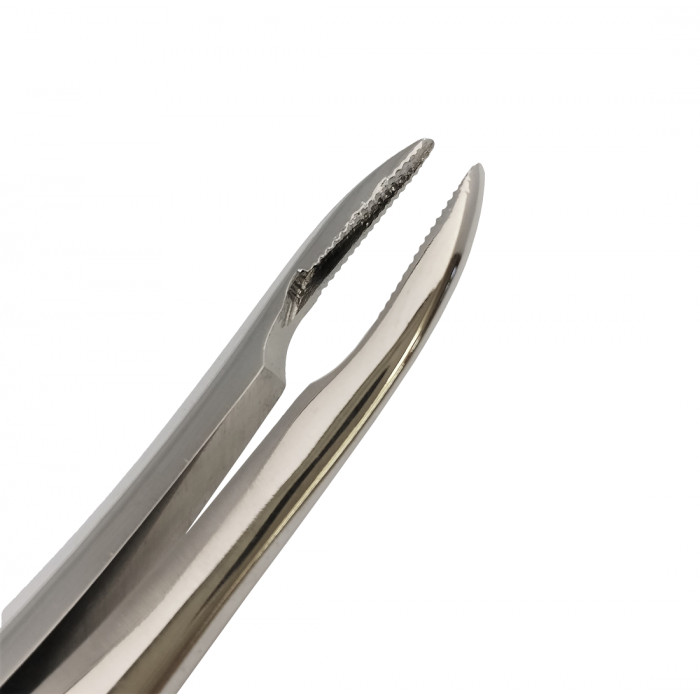 Narrow Jaw Extraction Forceps 7.5"