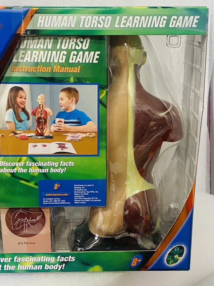 Human Torso Model Learning Game Science Kit BONUS Stethoscope from Toys R Us
