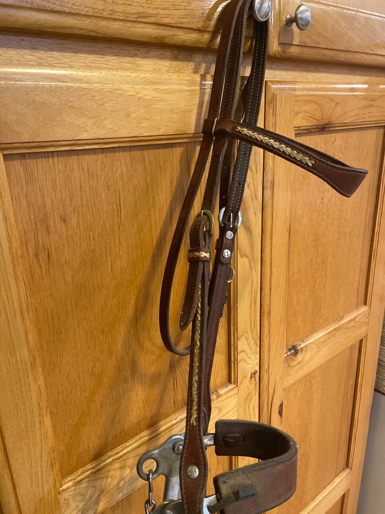 vintage King headstall Sliester leather hackamore