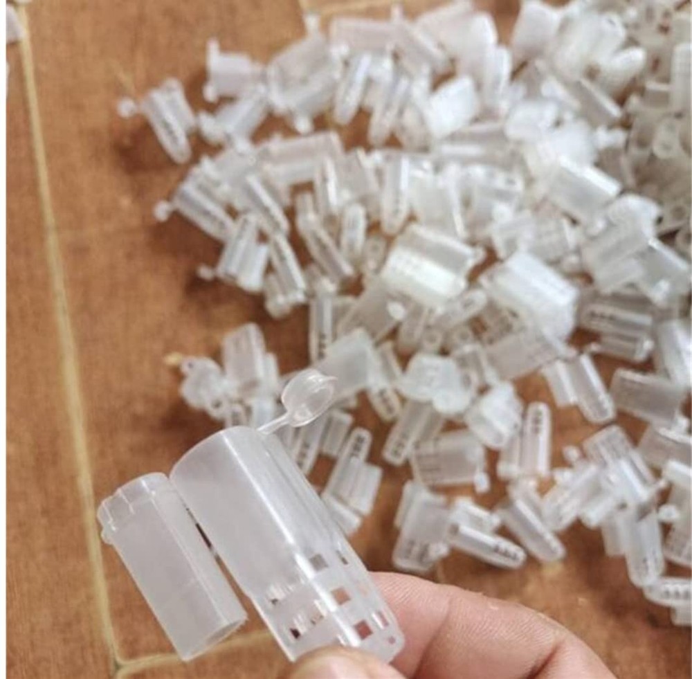 20pcs White Queen Bee Cages Beekeeping Catcher Plastic Isolator