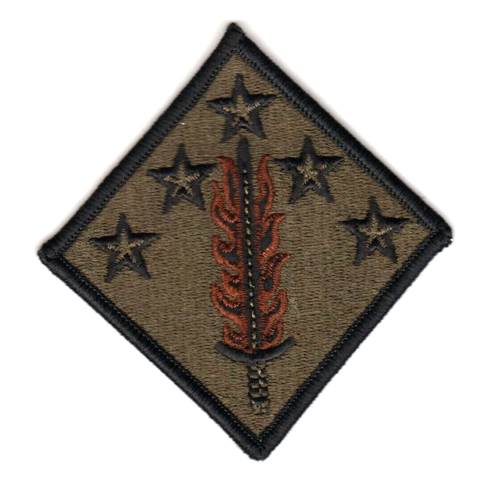 US ARMY 20th CBRNE COMMAND Olive/Drab Patch