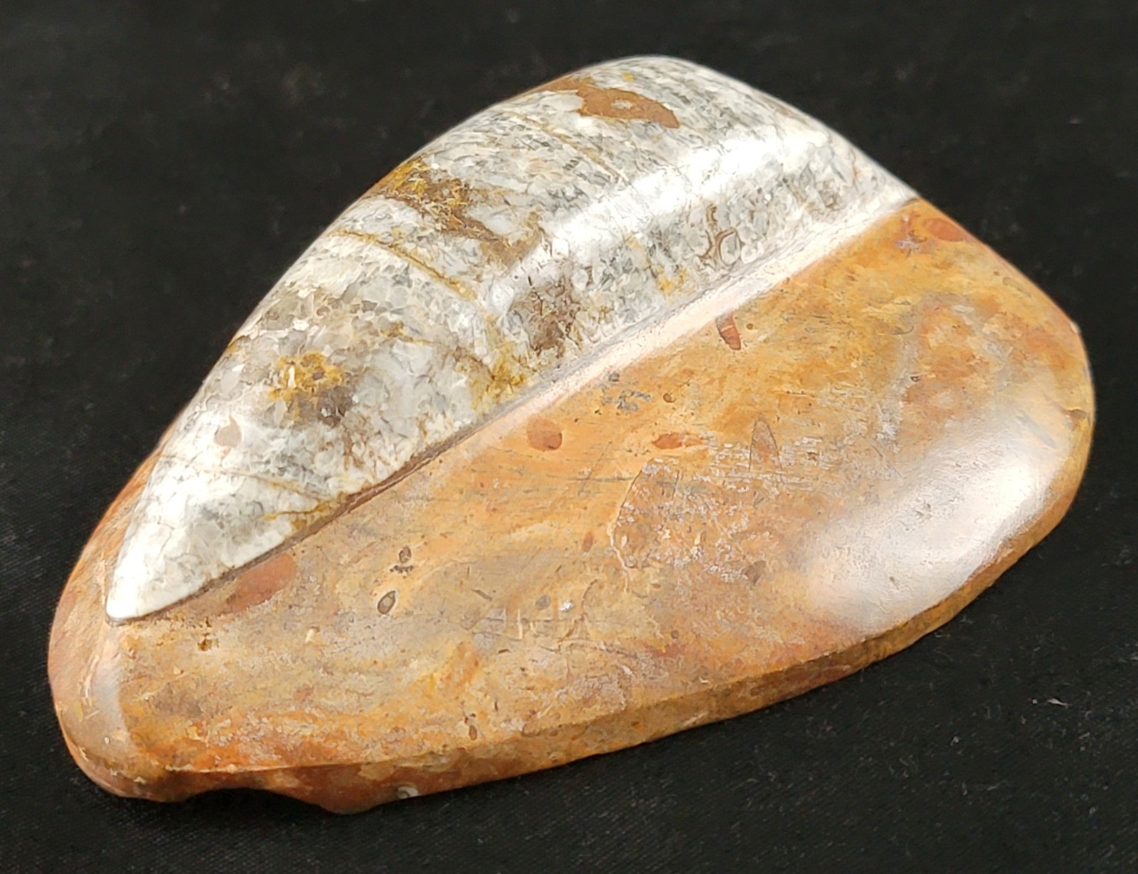 Vintage Ancient Orthoceras Squid Shell Fossil Morocco Approx 3.5" & 4.5" Lot of