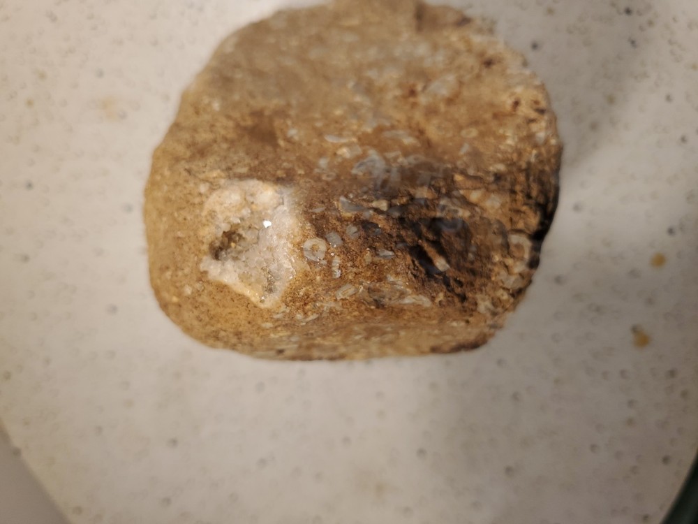 About 11 pound 14 oz Triangular Densely Packed Fossilized Shells Rock thatStands