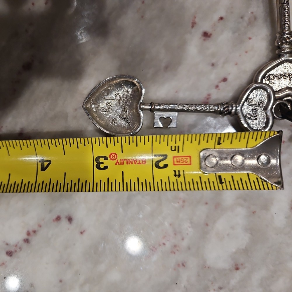 4 GANZ Collectible Measuring Spoons