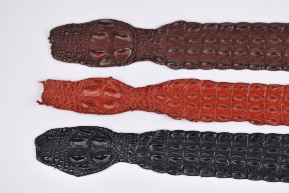 Genuine Saltwater crocodile back strap (skins)