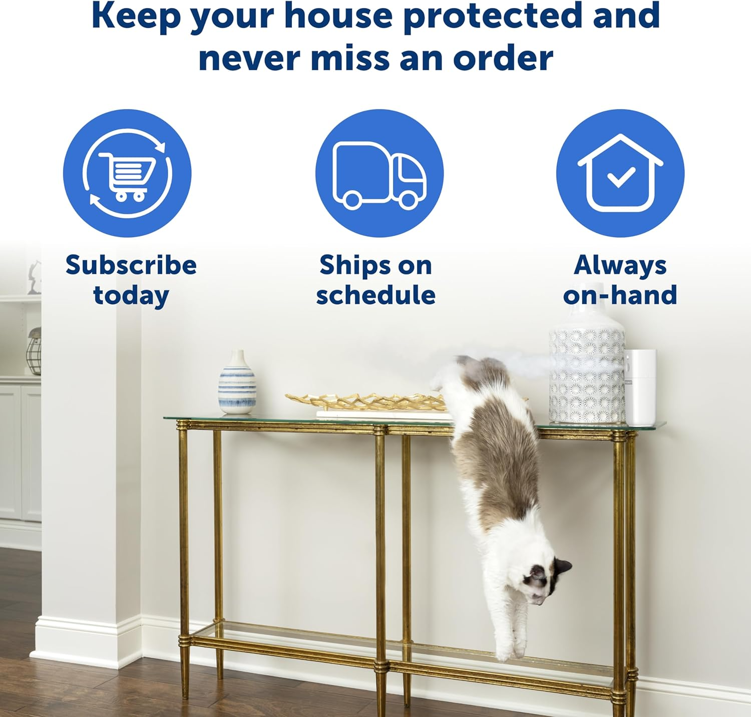 PetSafe SSSCAT PPD00-17622 Refill Can 3-Pack - Compatible 1st & 2nd Gen