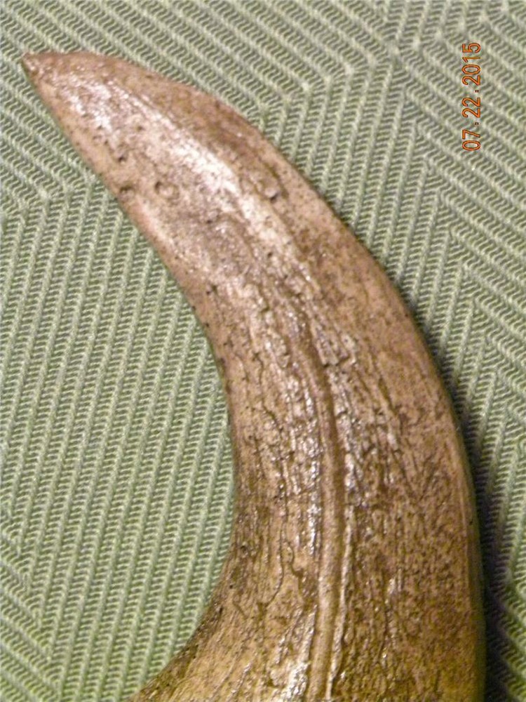 HUGE Deinonychus velociraptor claw replica 7" REPLICA
