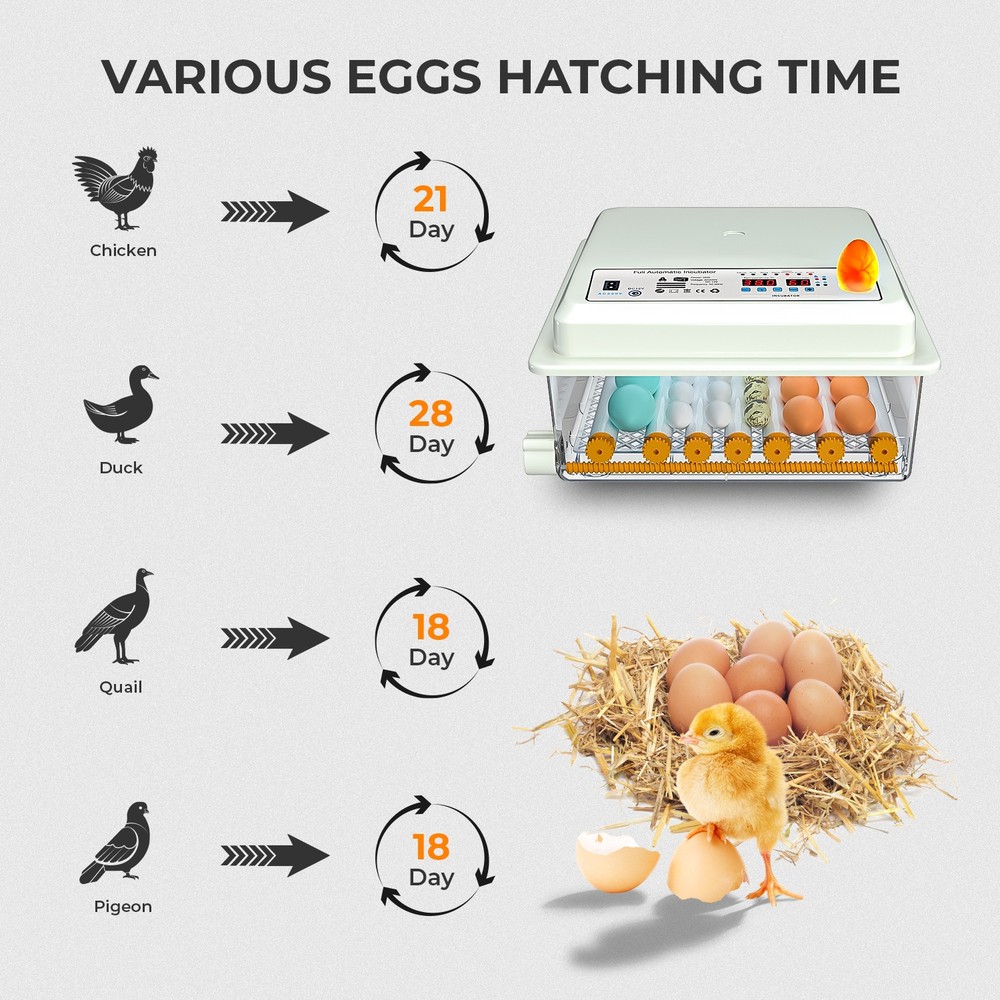 Egg Incubator 36 Eggs with Temperature Humidity Control Automatic Turning UK
