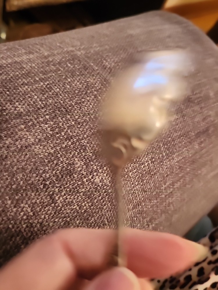 1894 Florida Pattern Sugar Shell Spoon - 5 3/4" ' Int Silver