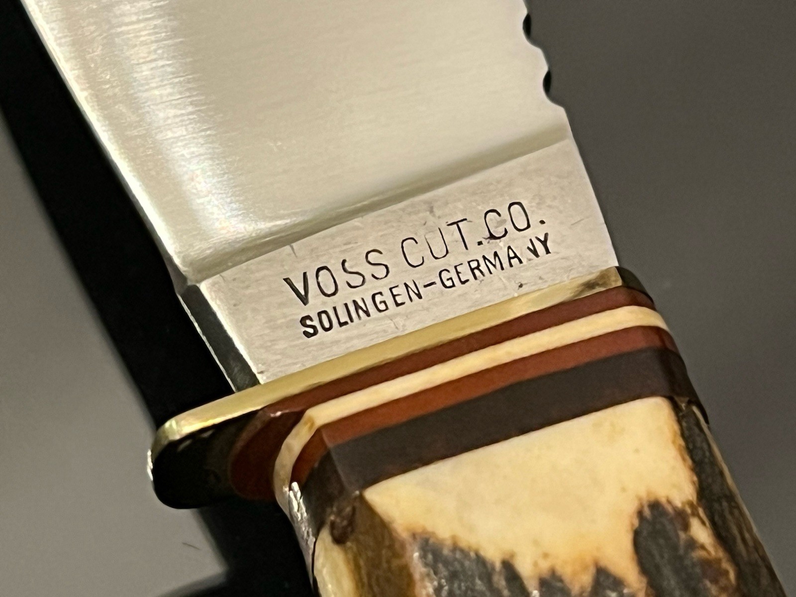 VINTAGE VOSS CUT. CO.GERMANY THICK STAG HUNTING KNIFE SKINNER BLADE 8-1/4” MINT