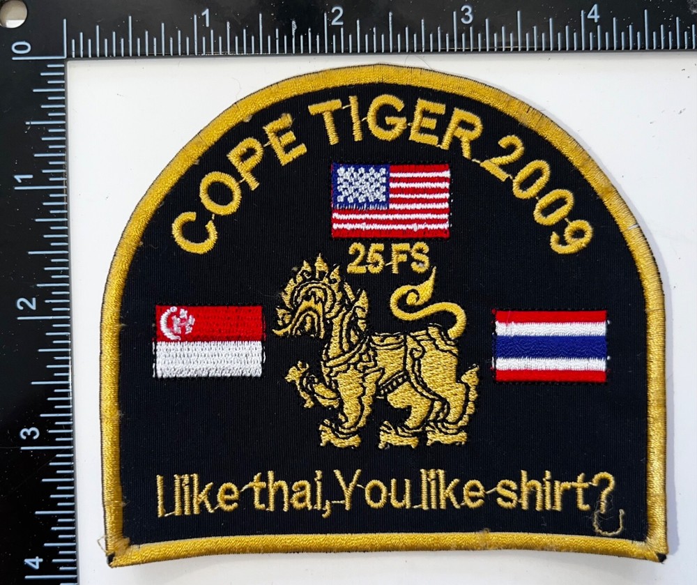 USAF 25th Fighter Squadron Cope Tiger 2009 Thailand Patch