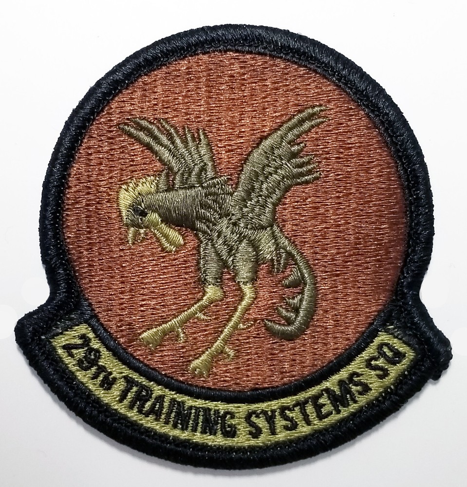 Air Force 29th Training Systems Squadron Subdued Hook Back Patch