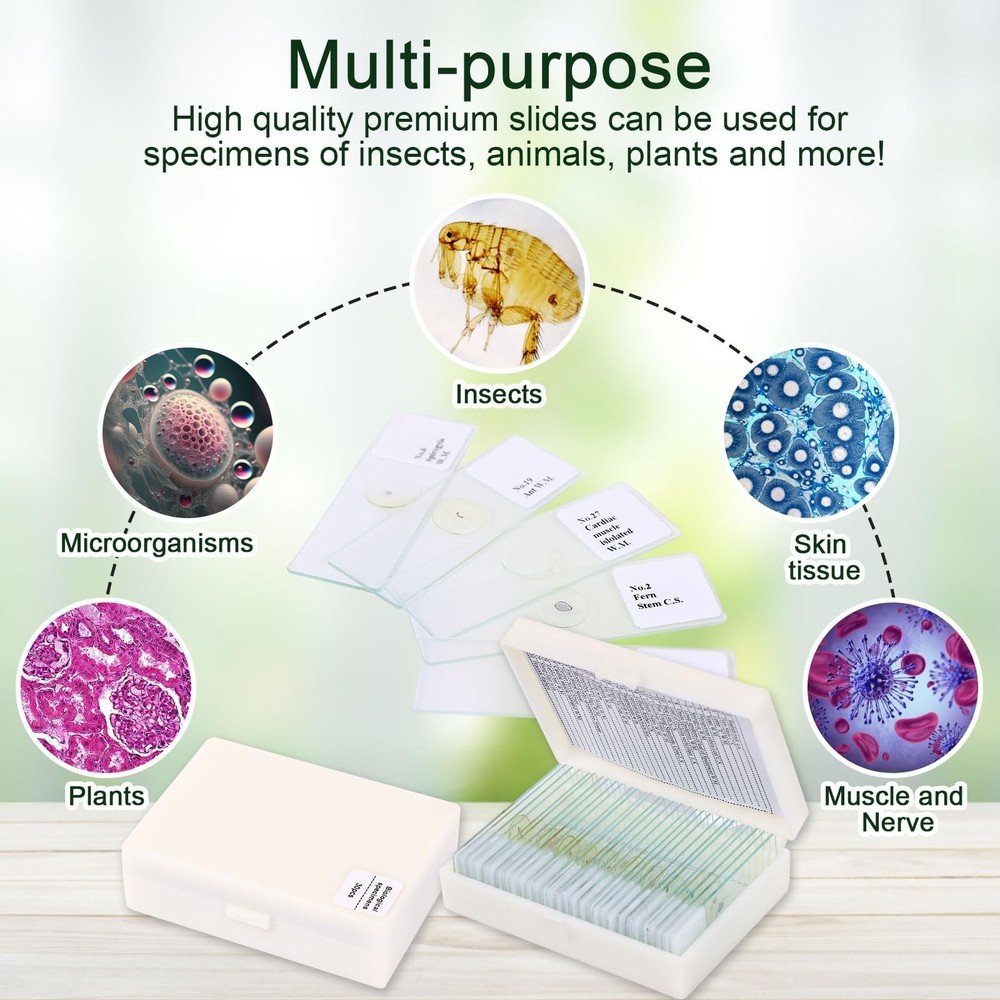 120 Microscope Slides with Specimens, Plant, Insect, Animal, Algae Slide Set ...
