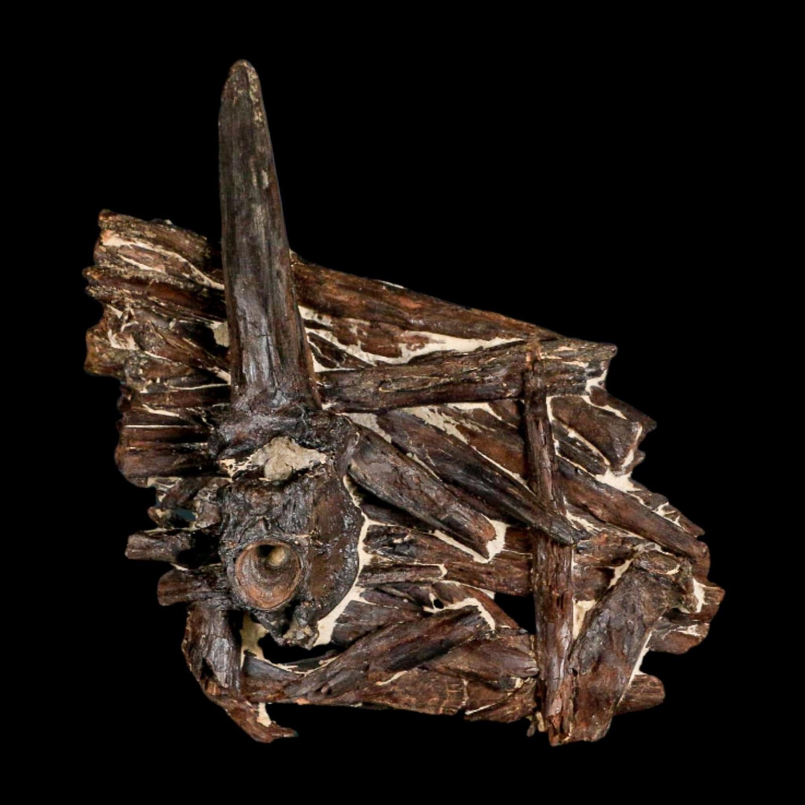 3.1" Unknown Fossil Vertebrae And Bones in Matrix Late Cretaceous Era Niobrara