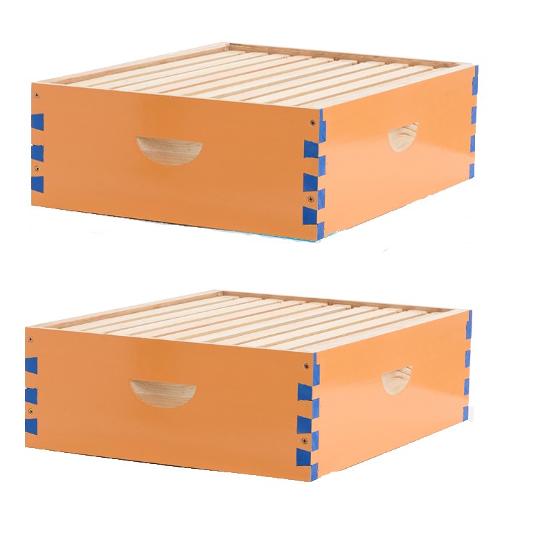 1 Layer Beehive Super Box Wax Langstroth Deep House + 10 Frames Beekeeping