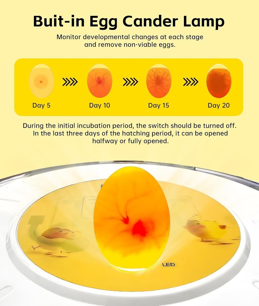 Professional Egg Incubator – 360° Full View, Precise Temperature Control, Automa